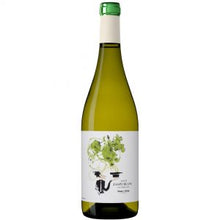  Jaspi White